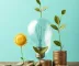 As 5 melhores ideias para investir suas poupanças