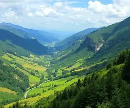 Vale