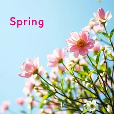 Começa a primavera: 50 frases para enviar pelo WhatsApp