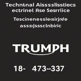 Triumph Assistência Técnica Autorizada: Telefone, Endereço